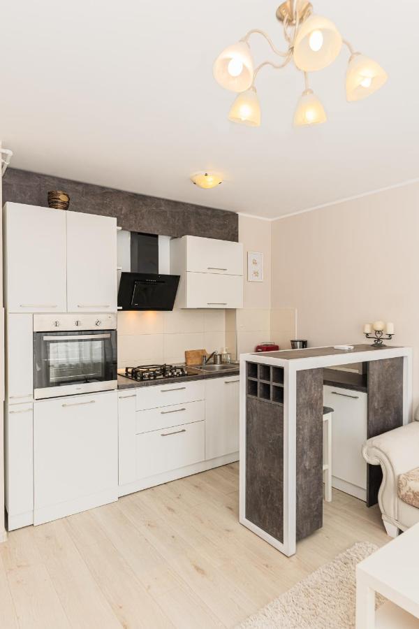 Apartament Belles Roses Brasov Lägenhet Exteriör bild